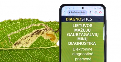 Straipsnio apie gaubtagalvius anonsas-f56aa1ff3a18f8ee7335c7e7c0c7e0c6.jpg